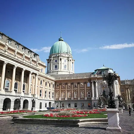 Ambient Aura Daire *